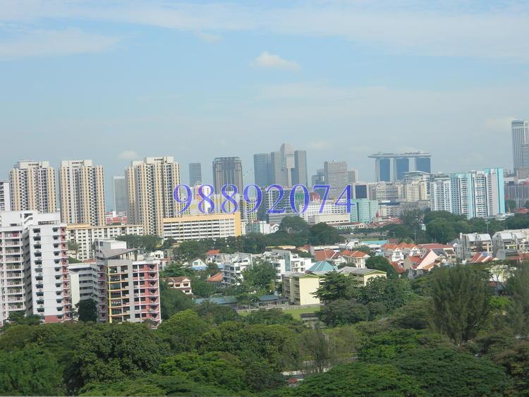 Novelis (D11), Apartment #137804462